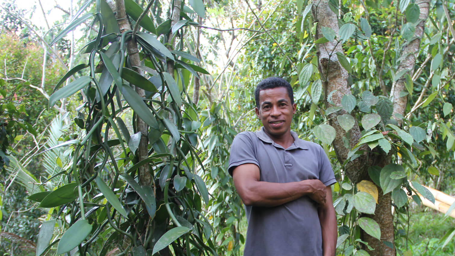 Producteur agroÃ©cologie coopÃ©rative FANOAHANA Ã  Madagascar - Epice cannelle en poudre